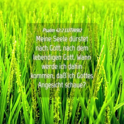 Picture 04 - Psalm 42:2 LUTH1912 - Meine Seele dürstet nach Gott, nach dem - Bible Verse Picture