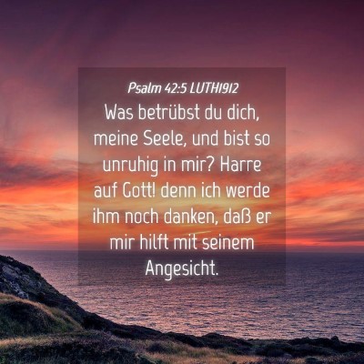 Picture 04 - Psalm 42:5 LUTH1912 - Was betrübst du dich, meine Seele, und bist so - Bible Verse Picture