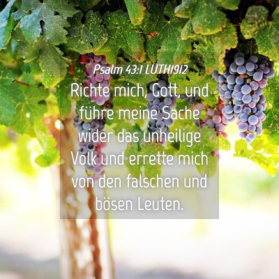 Picture 04 - Psalm 43:1 LUTH1912 - Richte mich, Gott, und führe meine Sache wider - Bible Verse Picture