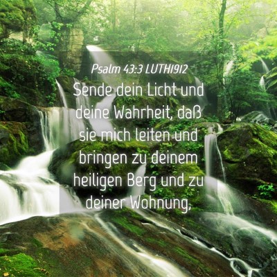 Picture 04 - Psalm 43:3 LUTH1912 - Sende dein Licht und deine Wahrheit, daß sie - Bible Verse Picture