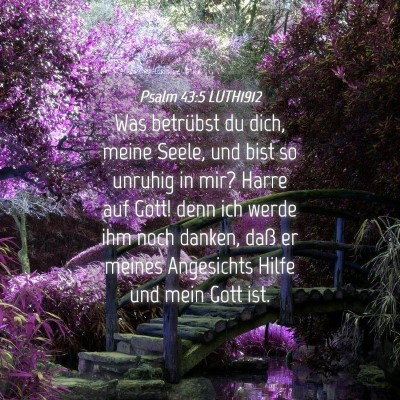 Picture 04 - Psalm 43:5 LUTH1912 - Was betrübst du dich, meine Seele, und bist so - Bible Verse Picture