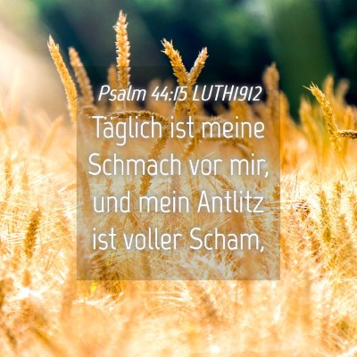 Picture 04 - Psalm 44:15 LUTH1912 - Täglich ist meine Schmach vor mir, und mein - Bible Verse Picture
