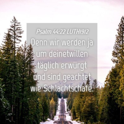 Picture 04 - Psalm 44:22 LUTH1912 - Denn wir werden ja um deinetwillen täglich - Bible Verse Picture
