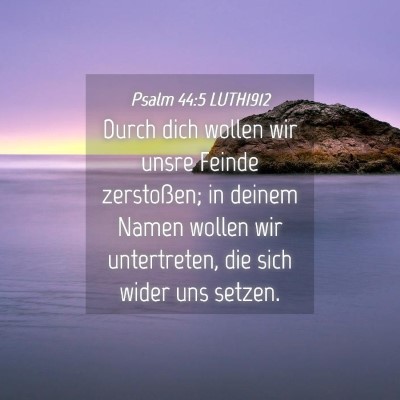 Picture 04 - Psalm 44:5 LUTH1912 - Durch dich wollen wir unsre Feinde zerstoßen; in - Bible Verse Picture