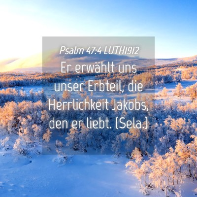 Picture 04 - Psalm 47:4 LUTH1912 - Er erwählt uns unser Erbteil, die Herrlichkeit - Bible Verse Picture