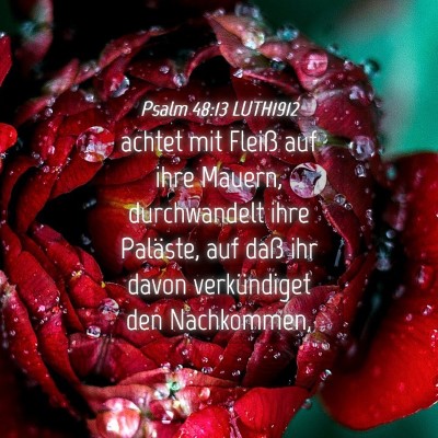 Picture 04 - Psalm 48:13 LUTH1912 - achtet mit Fleiß auf ihre Mauern, durchwandelt - Bible Verse Picture