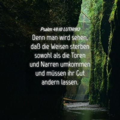 Picture 04 - Psalm 49:10 LUTH1912 - Denn man wird sehen, daß die Weisen sterben - Bible Verse Picture