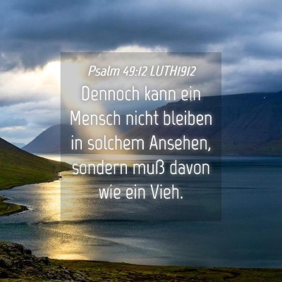 Picture 04 - Psalm 49:12 LUTH1912 - Dennoch kann ein Mensch nicht bleiben in solchem - Bible Verse Picture