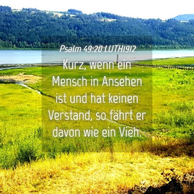 Picture 04 - Psalm 49:20 LUTH1912 - Kurz, wenn ein Mensch in Ansehen ist und hat - Bible Verse Picture