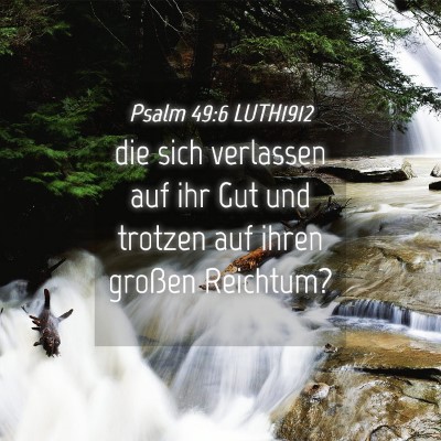 Picture 04 - Psalm 49:6 LUTH1912 - die sich verlassen auf ihr Gut und trotzen auf - Bible Verse Picture