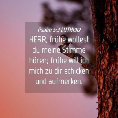 Picture 04 - Psalm 5:3 LUTH1912 - HERR, frühe wollest du meine Stimme hören; - Bible Verse Picture
