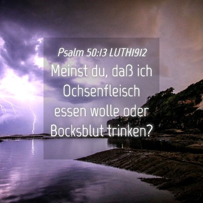 Picture 04 - Psalm 50:13 LUTH1912 - Meinst du, daß ich Ochsenfleisch essen wolle - Bible Verse Picture