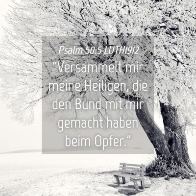 Picture 04 - Psalm 50:5 LUTH1912 - “Versammelt mir meine Heiligen, die den Bund - Bible Verse Picture