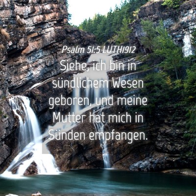 Picture 04 - Psalm 51:5 LUTH1912 - Siehe, ich bin in sündlichem Wesen geboren, und - Bible Verse Picture