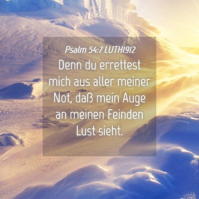 Picture 04 - Psalm 54:7 LUTH1912 - Denn du errettest mich aus aller meiner Not, daß - Bible Verse Picture