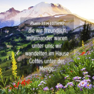 Picture 04 - Psalm 55:14 LUTH1912 - die wir freundlich miteinander waren unter uns; - Bible Verse Picture