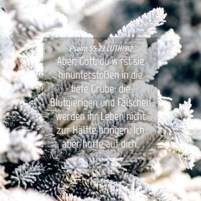 Picture 04 - Psalm 55:23 LUTH1912 - Aber, Gott, du wirst sie hinunterstoßen in die - Bible Verse Picture