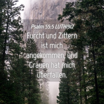 Picture 04 - Psalm 55:5 LUTH1912 - Furcht und Zittern ist mich angekommen, und - Bible Verse Picture