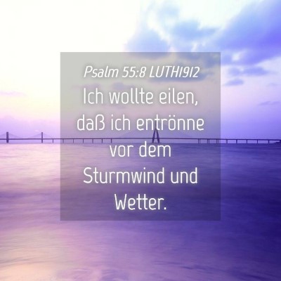 Picture 04 - Psalm 55:8 LUTH1912 - Ich wollte eilen, daß ich entrönne vor dem - Bible Verse Picture