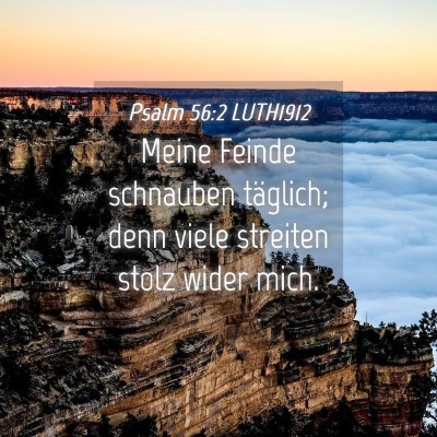 Picture 04 - Psalm 56:2 LUTH1912 - Meine Feinde schnauben täglich; denn viele - Bible Verse Picture