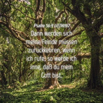 Picture 04 - Psalm 56:9 LUTH1912 - Dann werden sich meine Feinde müssen - Bible Verse Picture