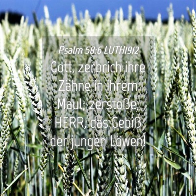 Picture 04 - Psalm 58:6 LUTH1912 - Gott, zerbrich ihre Zähne in ihrem Maul; - Bible Verse Picture