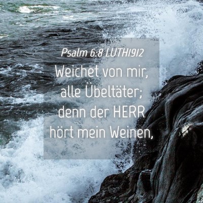 Picture 04 - Psalm 6:8 LUTH1912 - Weichet von mir, alle Übeltäter; denn der HERR - Bible Verse Picture