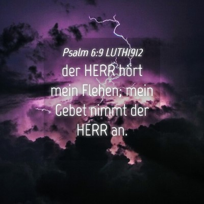 Picture 04 - Psalm 6:9 LUTH1912 - der HERR hört mein Flehen; mein Gebet nimmt der - Bible Verse Picture