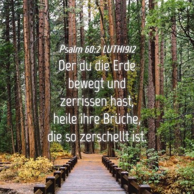 Picture 04 - Psalm 60:2 LUTH1912 - Der du die Erde bewegt und zerrissen hast, heile - Bible Verse Picture