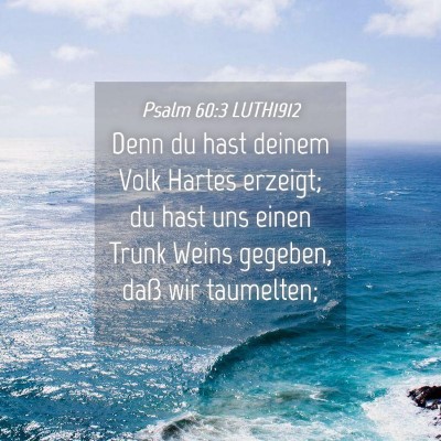 Picture 04 - Psalm 60:3 LUTH1912 - Denn du hast deinem Volk Hartes erzeigt; du hast - Bible Verse Picture