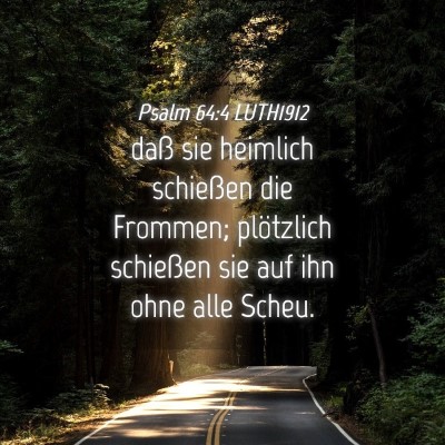 Picture 04 - Psalm 64:4 LUTH1912 - daß sie heimlich schießen die Frommen; - Bible Verse Picture