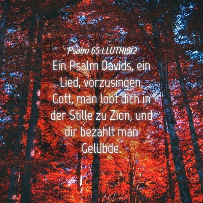 Picture 04 - Psalm 65:1 LUTH1912 - Ein Psalm Davids, ein Lied, vorzusingen. Gott, - Bible Verse Picture