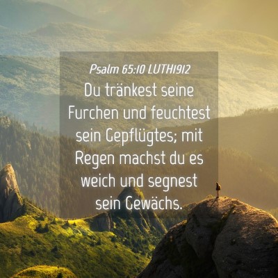 Picture 04 - Psalm 65:10 LUTH1912 - Du tränkest seine Furchen und feuchtest sein - Bible Verse Picture