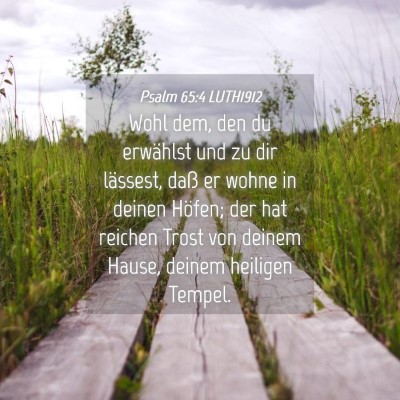 Picture 04 - Psalm 65:4 LUTH1912 - Wohl dem, den du erwählst und zu dir lässest, - Bible Verse Picture
