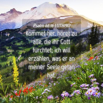 Picture 04 - Psalm 66:16 LUTH1912 - Kommet her, höret zu alle, die ihr Gott - Bible Verse Picture