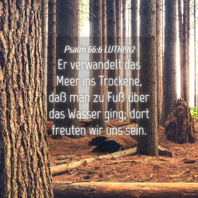 Picture 04 - Psalm 66:6 LUTH1912 - Er verwandelt das Meer ins Trockene, daß man zu - Bible Verse Picture