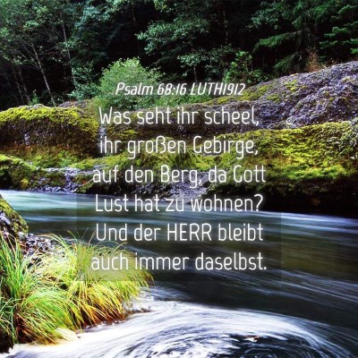 Picture 04 - Psalm 68:16 LUTH1912 - Was seht ihr scheel, ihr großen Gebirge, auf den - Bible Verse Picture