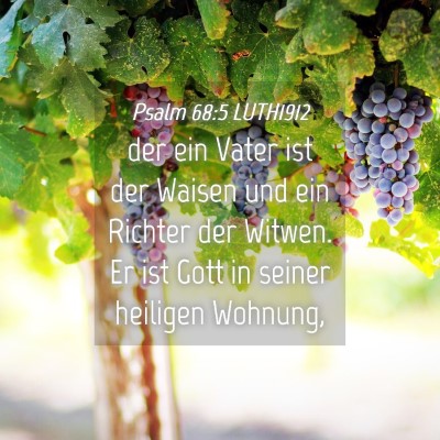 Picture 04 - Psalm 68:5 LUTH1912 - der ein Vater ist der Waisen und ein Richter der - Bible Verse Picture