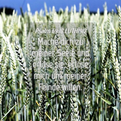Picture 04 - Psalm 69:18 LUTH1912 - Mache dich zu meiner Seele und erlöse sie; - Bible Verse Picture