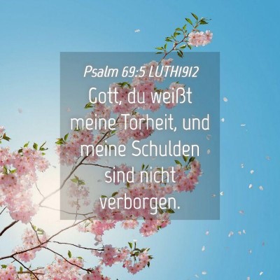 Picture 04 - Psalm 69:5 LUTH1912 - Gott, du weißt meine Torheit, und meine Schulden - Bible Verse Picture