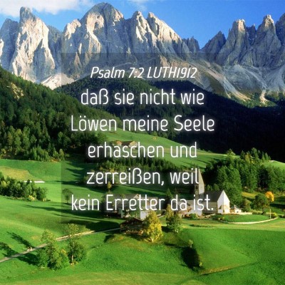 Picture 04 - Psalm 7:2 LUTH1912 - daß sie nicht wie Löwen meine Seele erhaschen - Bible Verse Picture