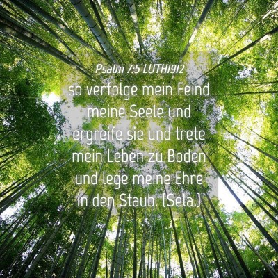 Picture 04 - Psalm 7:5 LUTH1912 - so verfolge mein Feind meine Seele und ergreife - Bible Verse Picture