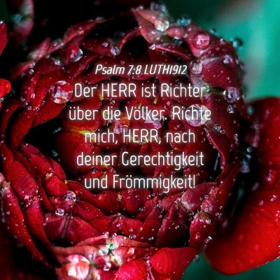 Picture 04 - Psalm 7:8 LUTH1912 - Der HERR ist Richter über die Völker. Richte - Bible Verse Picture