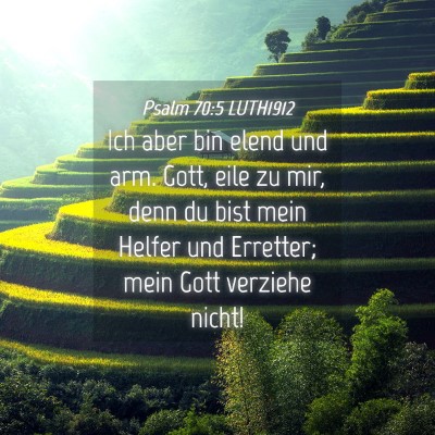 Picture 04 - Psalm 70:5 LUTH1912 - Ich aber bin elend und arm. Gott, eile zu mir, - Bible Verse Picture