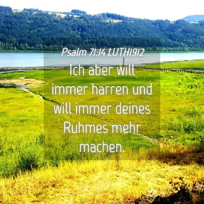 Picture 04 - Psalm 71:14 LUTH1912 - Ich aber will immer harren und will immer deines - Bible Verse Picture