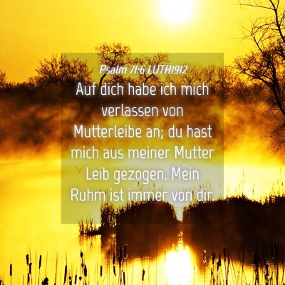 Picture 04 - Psalm 71:6 LUTH1912 - Auf dich habe ich mich verlassen von Mutterleibe - Bible Verse Picture