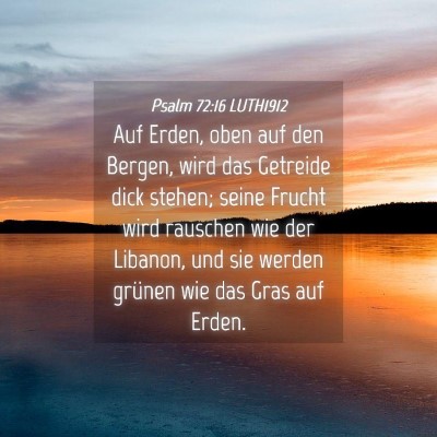 Picture 04 - Psalm 72:16 LUTH1912 - Auf Erden, oben auf den Bergen, wird das Getreide - Bible Verse Picture