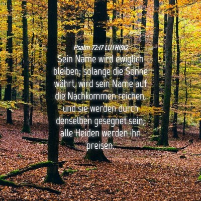 Picture 04 - Psalm 72:17 LUTH1912 - Sein Name wird ewiglich bleiben; solange die - Bible Verse Picture