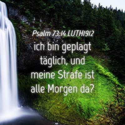 Picture 04 - Psalm 73:14 LUTH1912 - ich bin geplagt täglich, und meine Strafe ist - Bible Verse Picture