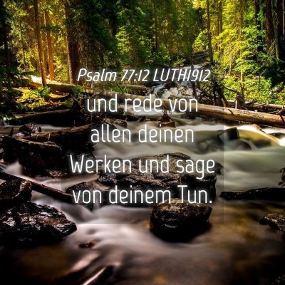 Picture 04 - Psalm 77:12 LUTH1912 - und rede von allen deinen Werken und sage von - Bible Verse Picture